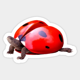 TurtleBug Sticker